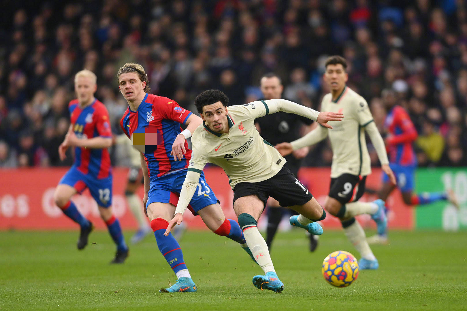 我们可看到 我们可看到